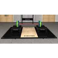 Тяжелоатлетические плинты для штанги с регулировкой высоты Stecter 20-30 см (пара)