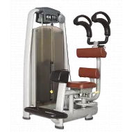 Торс-машина BRONZE GYM A9-011