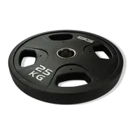 BRONZE GYM BGPLP250 Диск олимпийский 25 кг